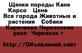 Щенки породы Кане-Корсо › Цена ­ 25 000 - Все города Животные и растения » Собаки   . Карачаево-Черкесская респ.,Черкесск г.